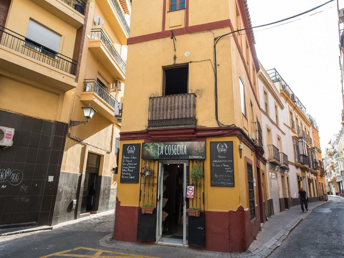 Divi Apartaments Centro Sevilla Dış mekan fotoğraf